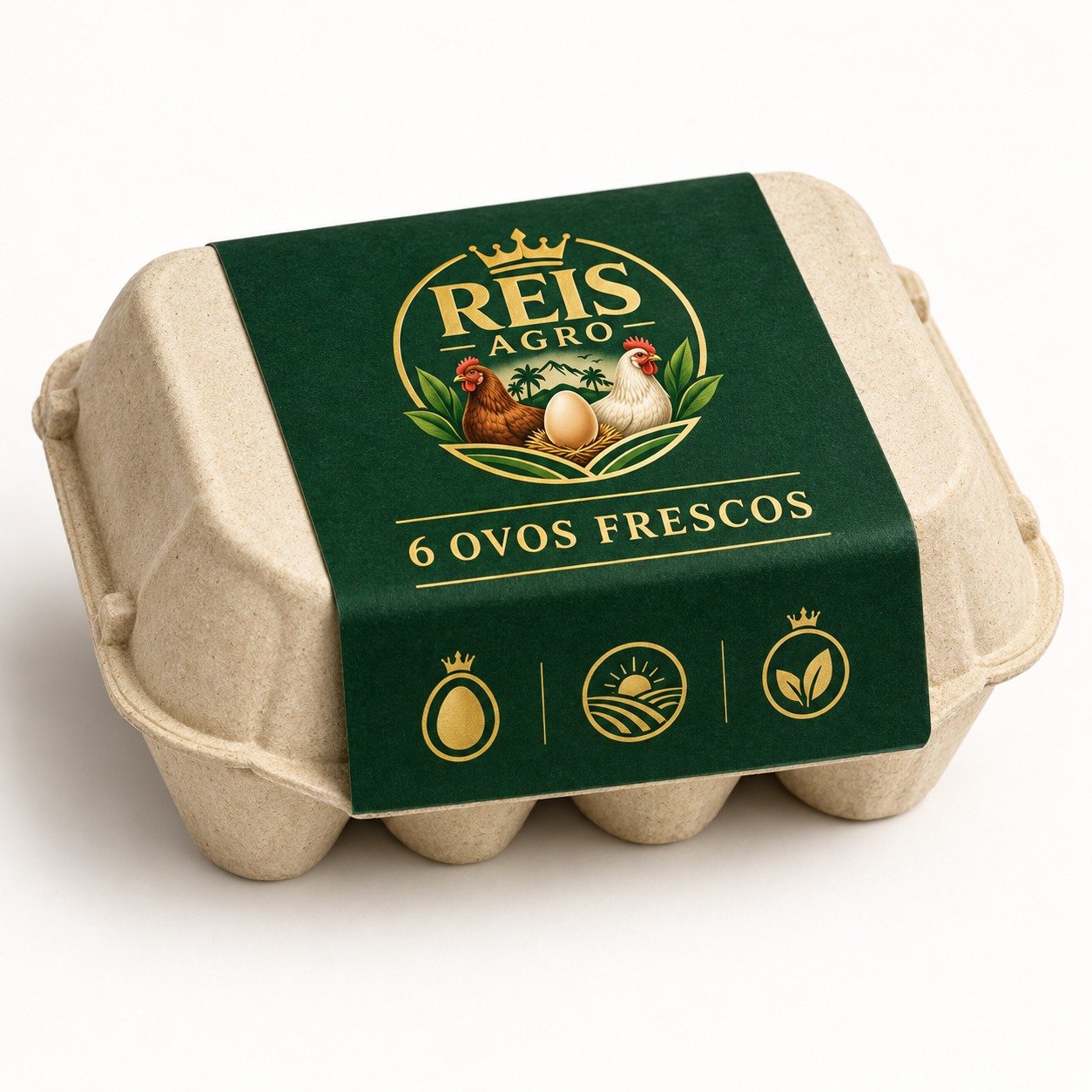 Caixa com 6 ovos